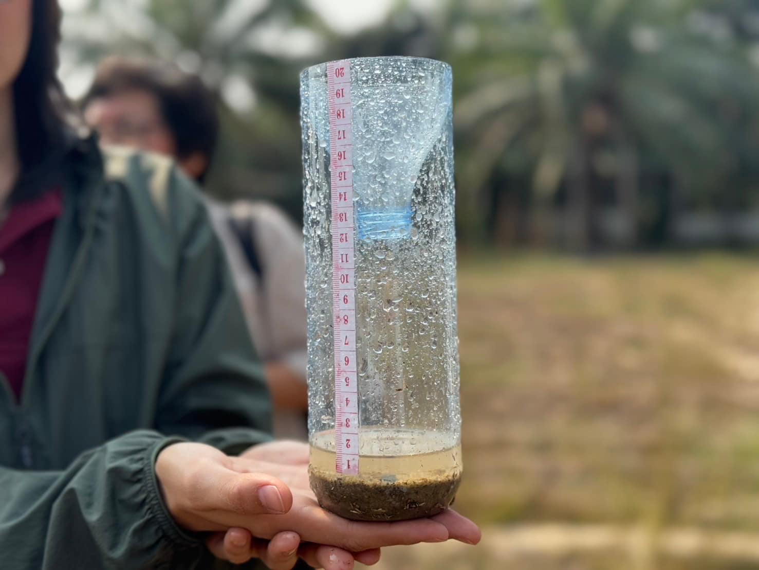 rice production day 22