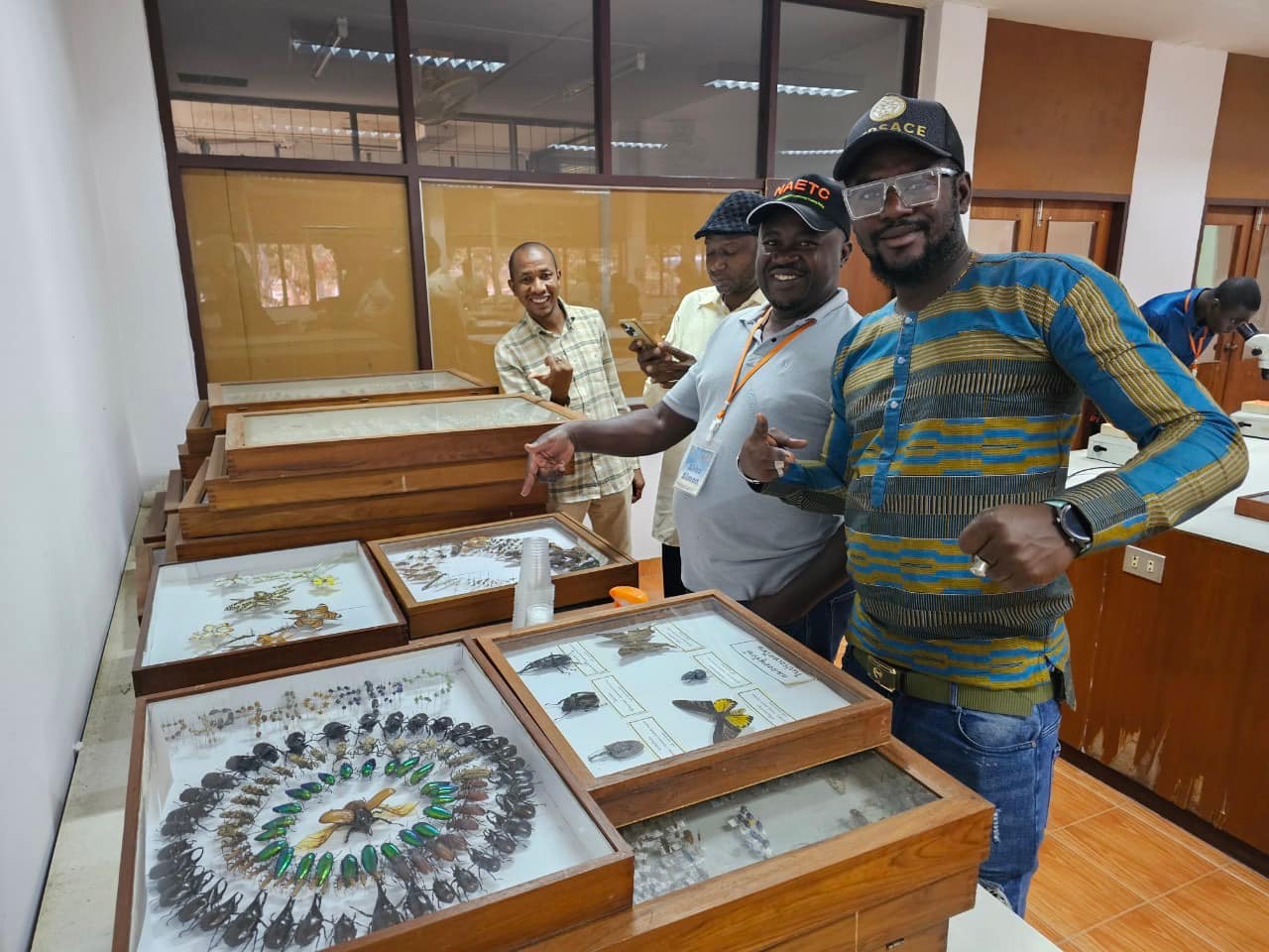 rice production day 21