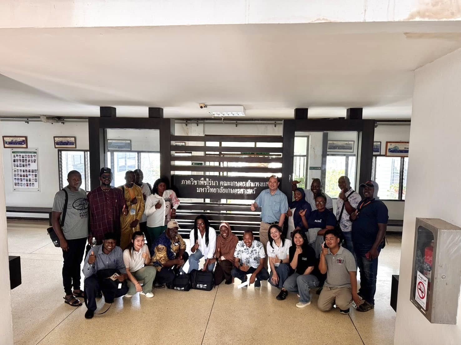 rice production day 23