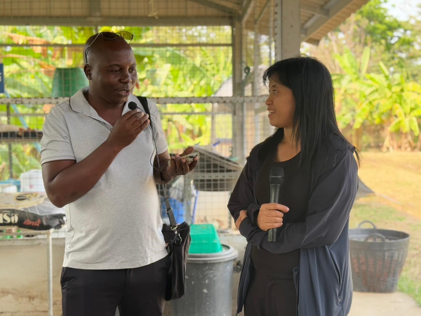 rice production day 22