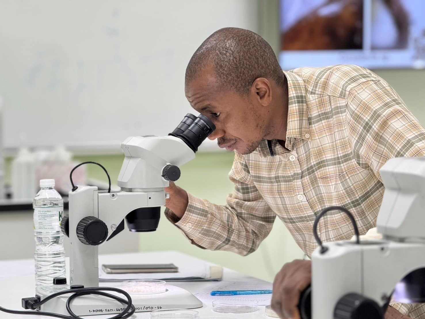 rice production day 21