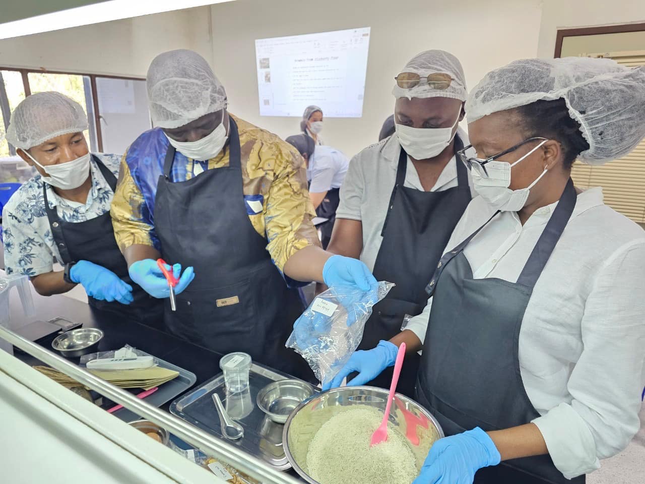 rice production day 23