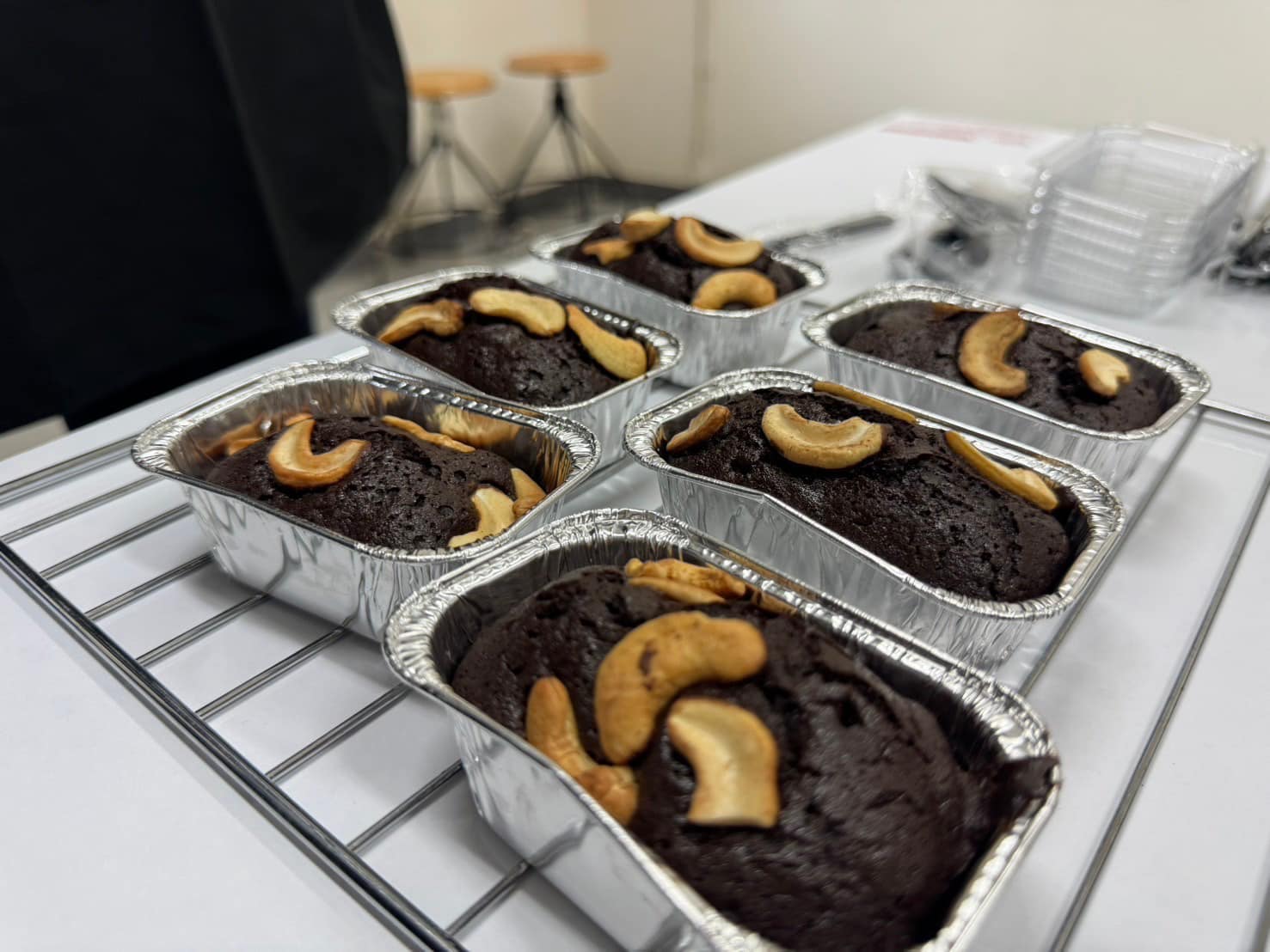 rice production day 23