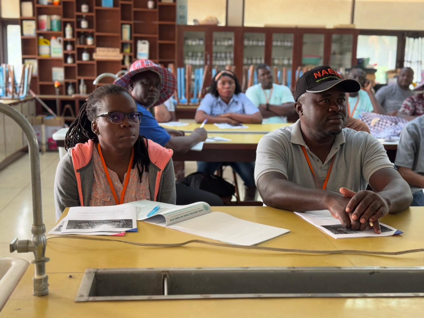 rice production day 22