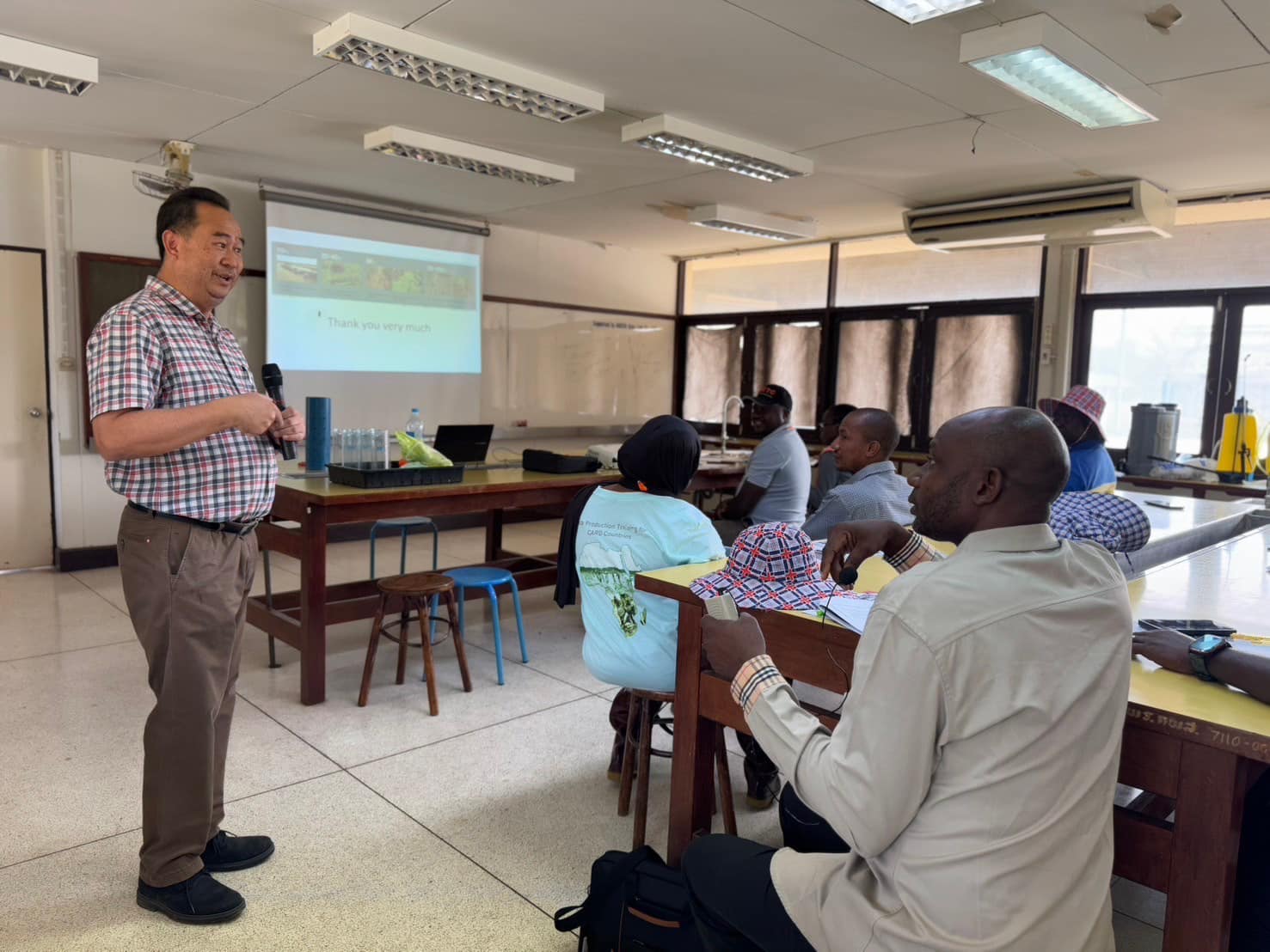rice production day 22