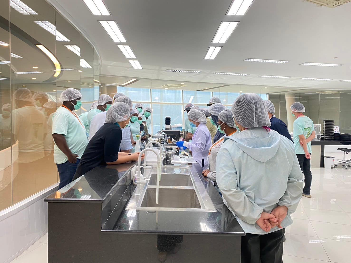 rice production day 25