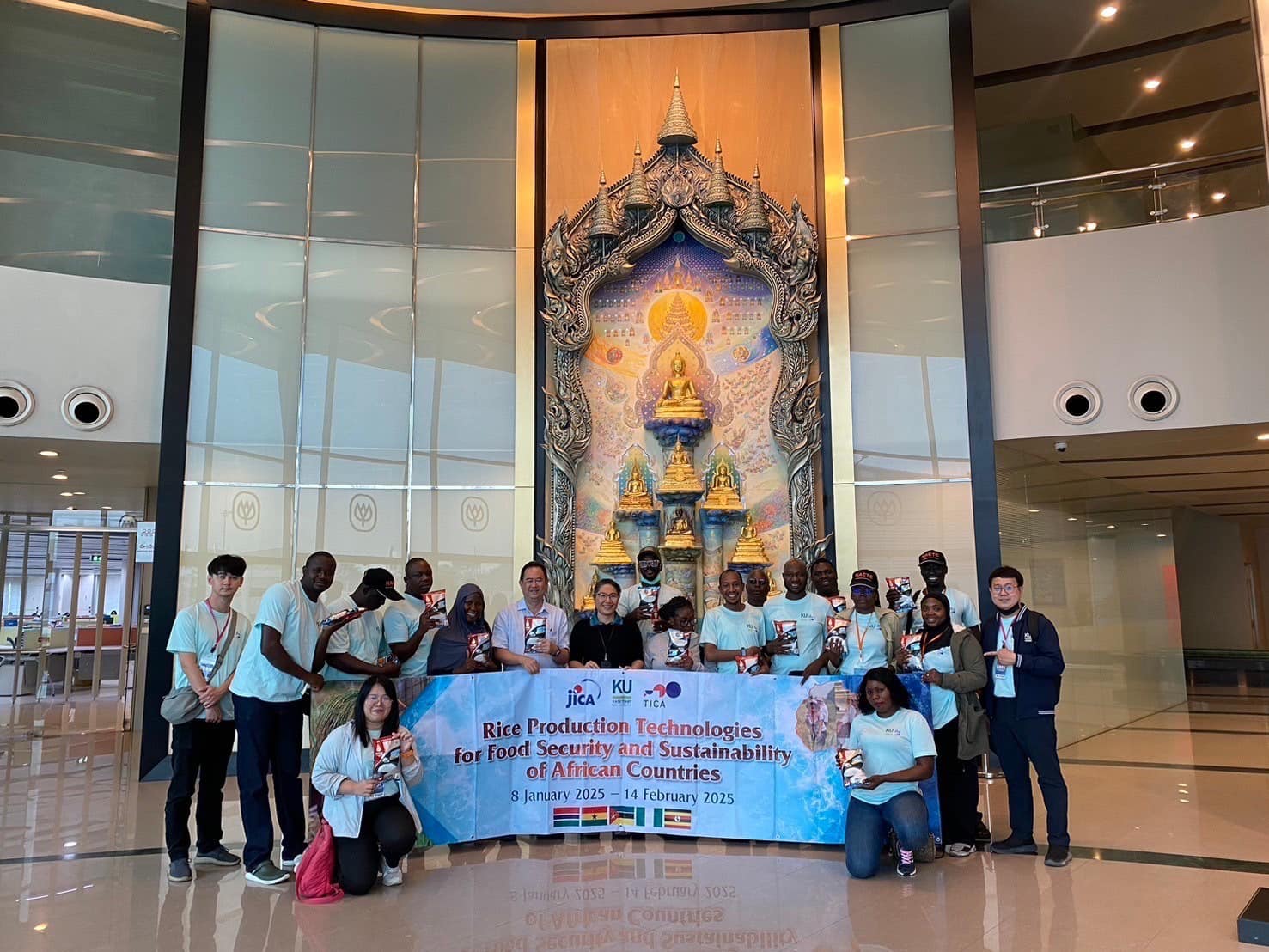 rice production day 25