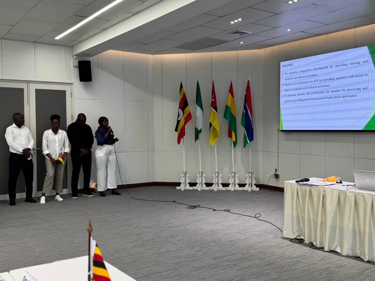 rice production day 26