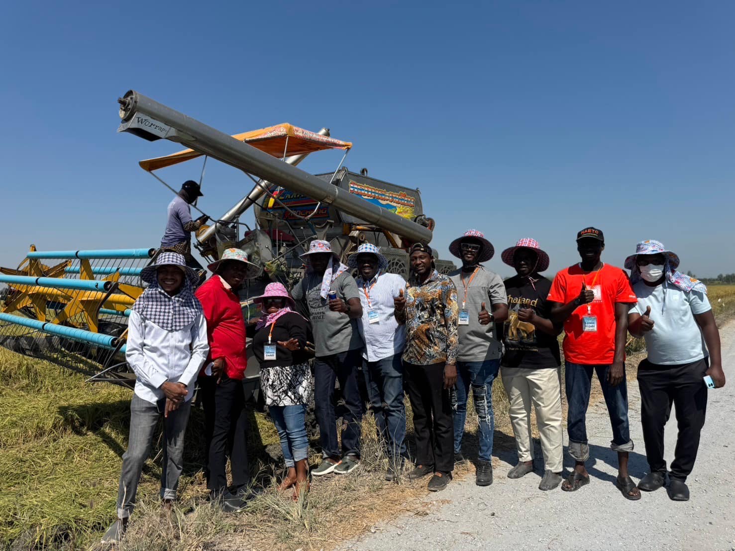 rice production day 24