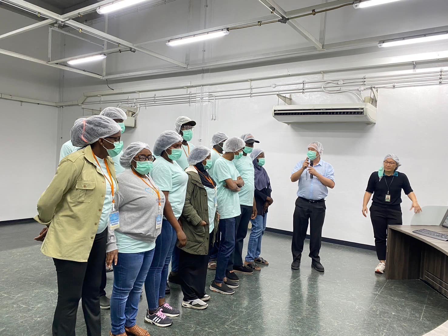 rice production day 25