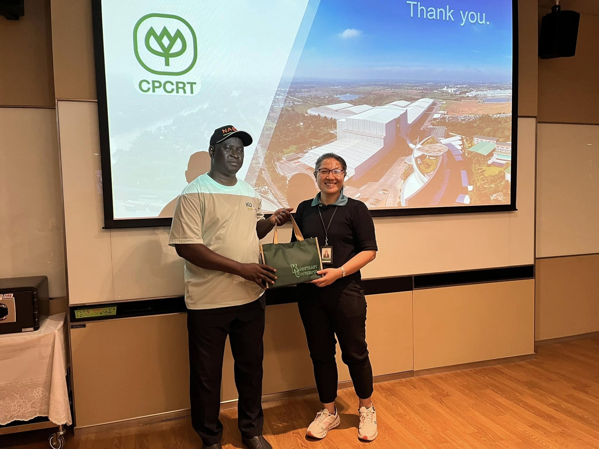 rice production day 25