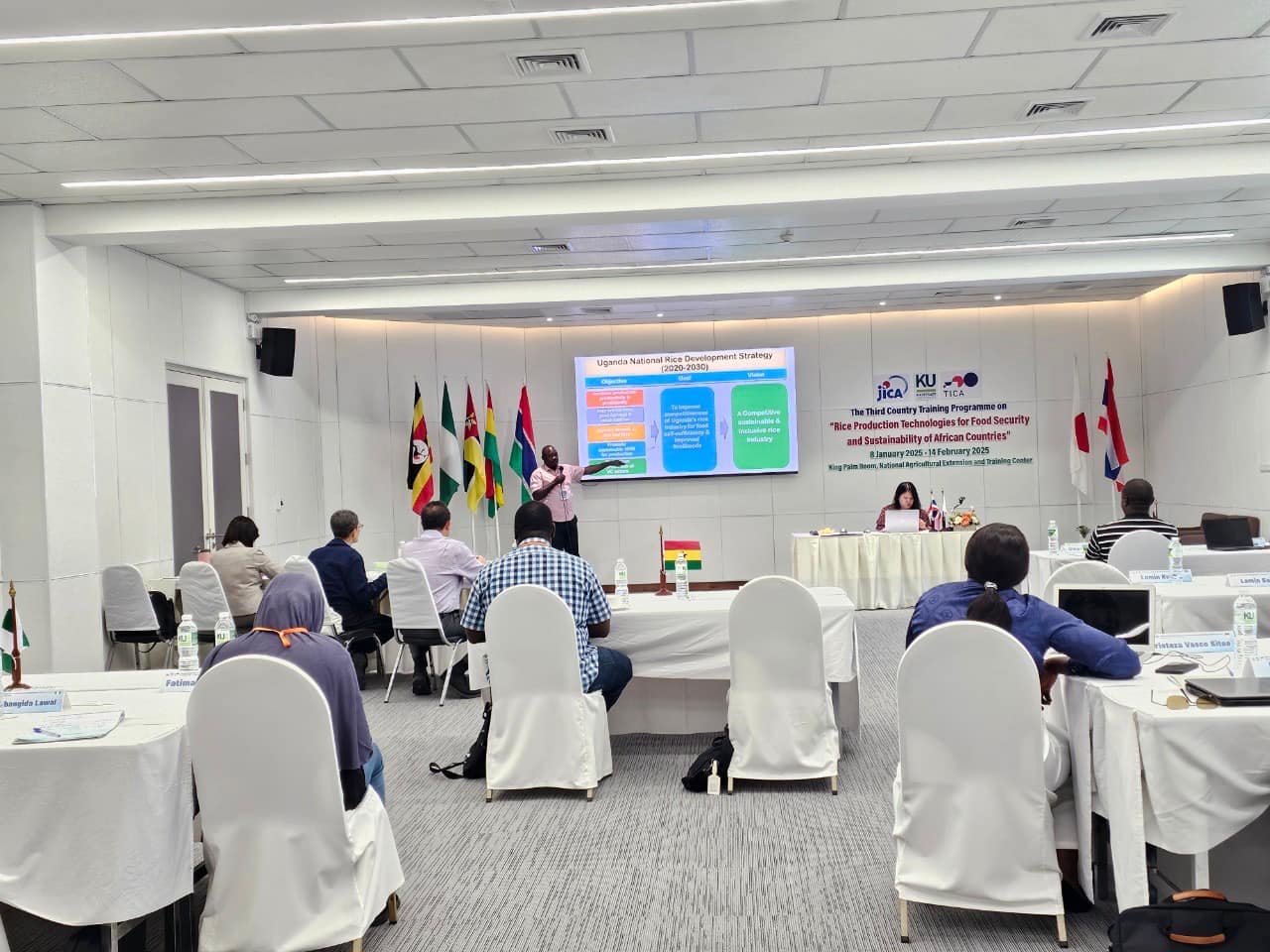 rice production day 26