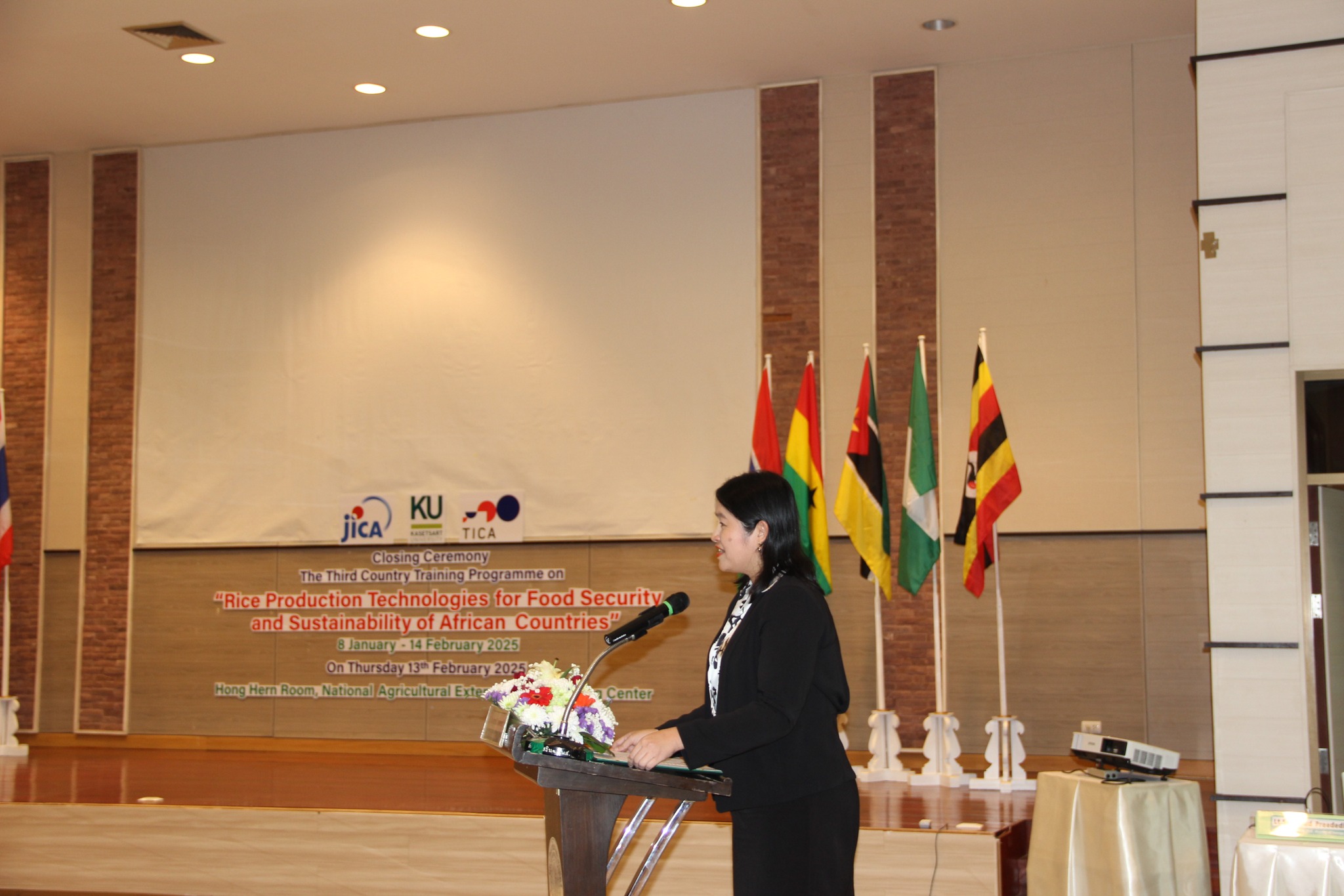 rice production day 27