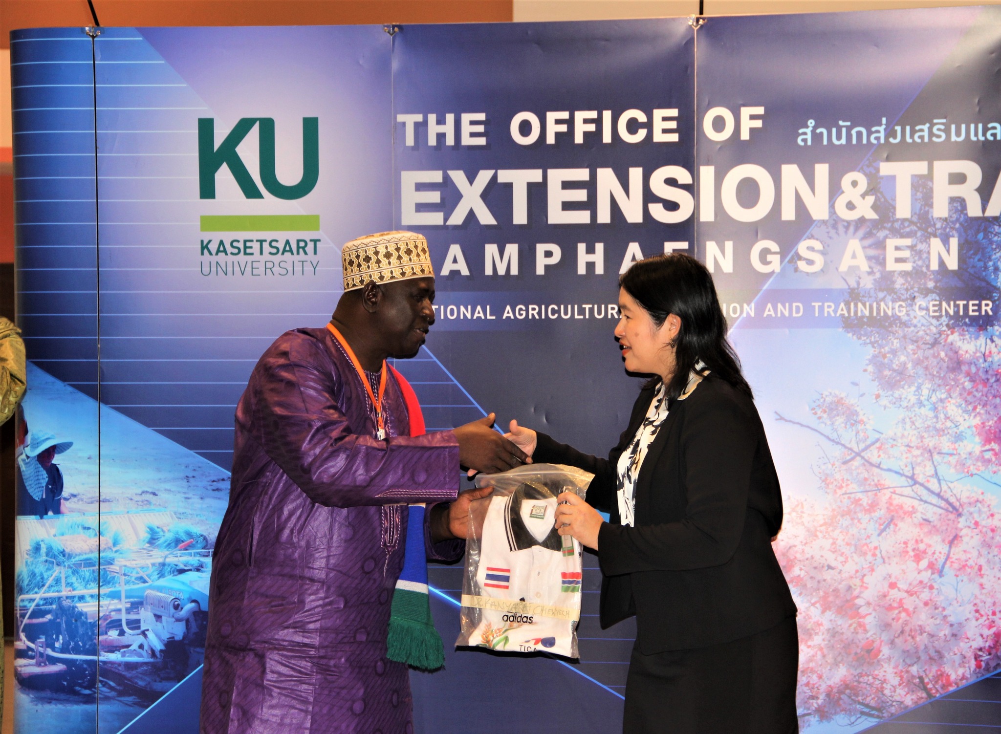 rice production day 27