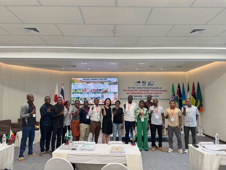 Rice Value Chain: From Production to Value Creation